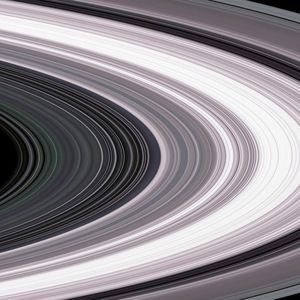 Meet your Posher, Cosmo